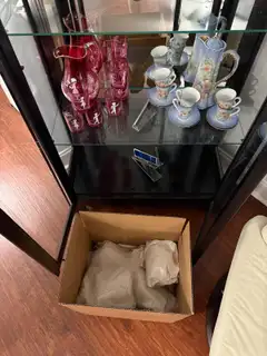 Recent move photo from Stash & Go gallery